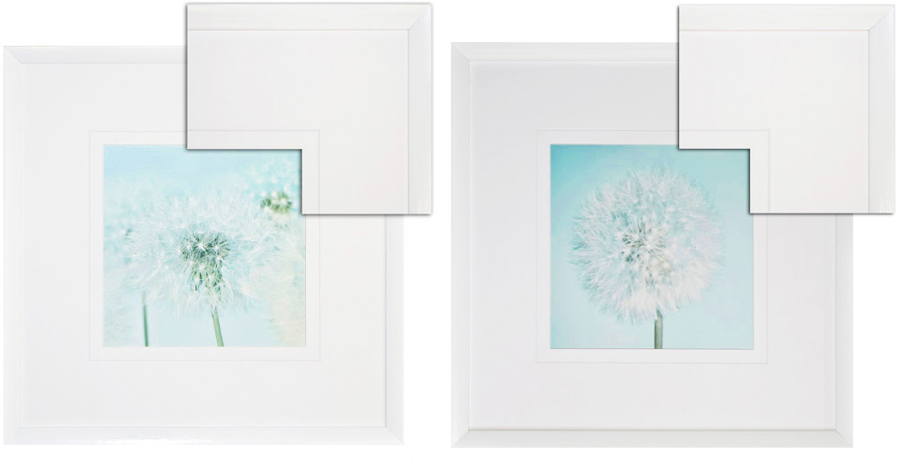 FP033 Wall décor art framed print floral set of 2 white frame